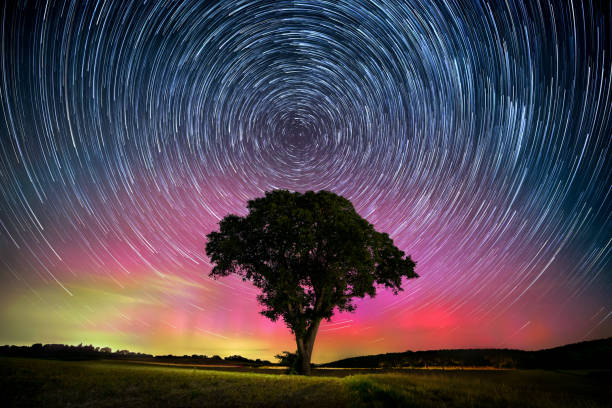 istock Night sky with lone tree, Northern Lights and star trails 2178315867