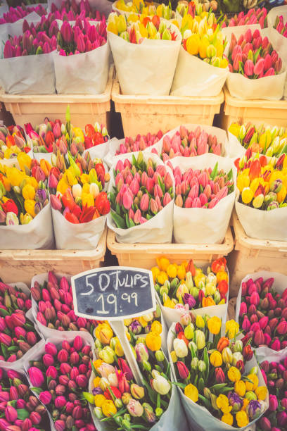 istock Colorful tulips on sale 2178319279