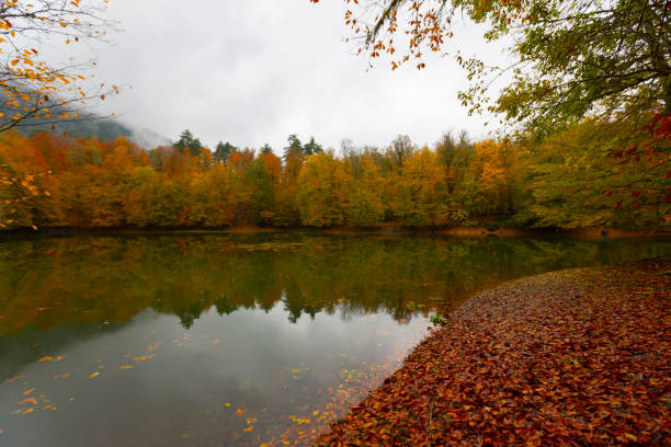 istock Seven lakes national park natural habitat 2178320478