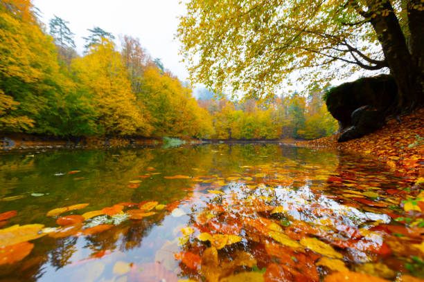 Seven lakes national park natural habitat