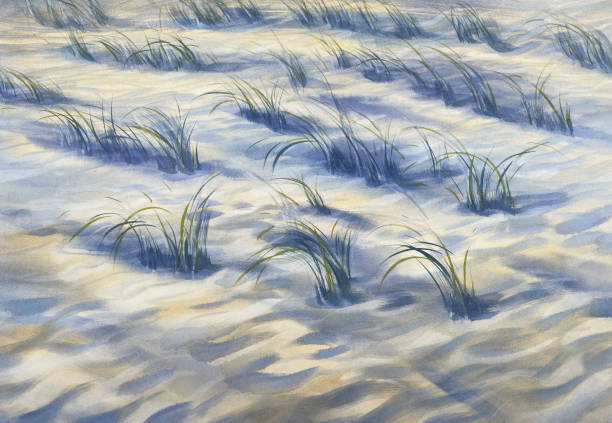 istock Sand dune pastel colors watercolor landscape. Grass in the wind 2178321378