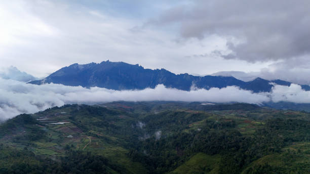 A dramatic aerial view of a mountain range partially obscured by clouds, with lush green valleys below. The overcast sky adds a mysterious atmosphere to the landscape.