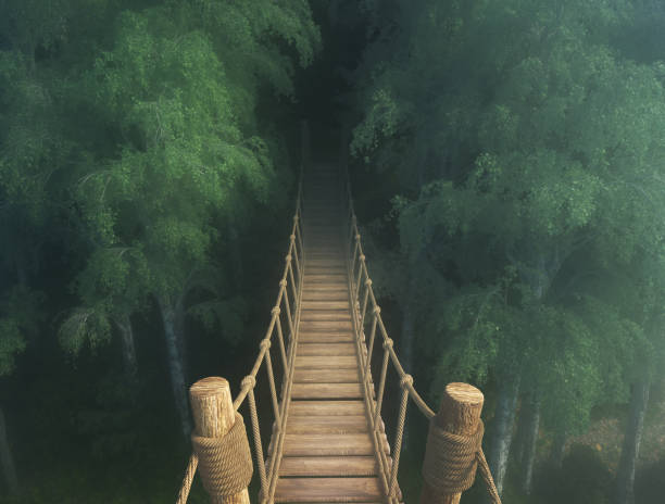 istock Wooden bridge winding through trees in a serene, misty forest 2178326643