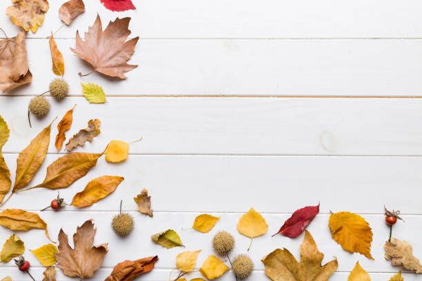 istock Autumn composition. Pattern made of dried leaves and other design accessories on table. Flat lay, top view 2178327311