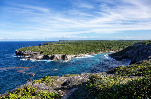 istock Pointe du Piton, north coast, Grande-Terre, Guadeloupe, Lesser Antilles, Caribbean. 2178327607