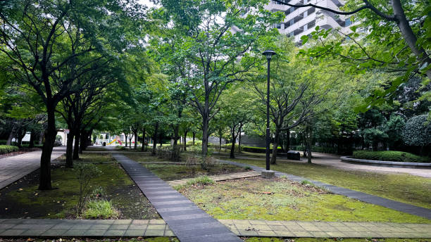 istock The beautiful views in Tokyo 2178327930