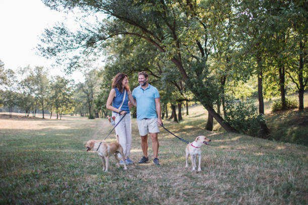 istock Romantic Walk with Dogs in the Park 2178328402