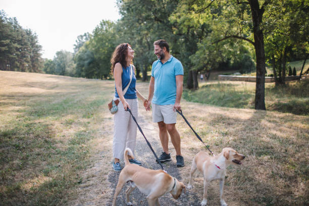 istock Romantic Walk with Dogs in the Park 2178328423