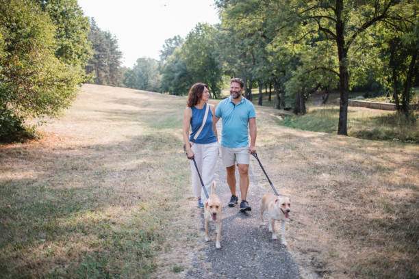 istock Couple Enjoys Park Stroll with Dogs 2178328428
