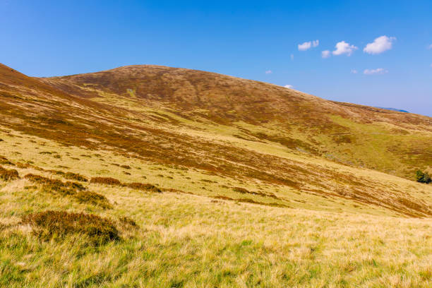 istock alpine hills and meadows in autumn 2178329171