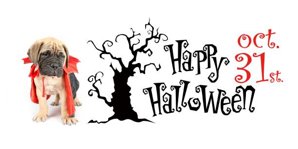 halloween banner with bullmastiff puppy in devil costume