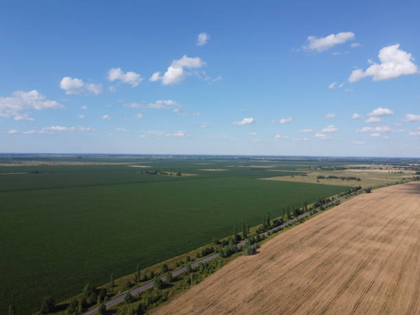 istock Beautiful agricultural landscape, open field with blue sky and white clouds. Farmfields from a bird's eye view. 2178331719