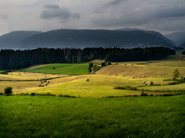 Mountain landscape in Asiago, with green hills for grazing and grey sky