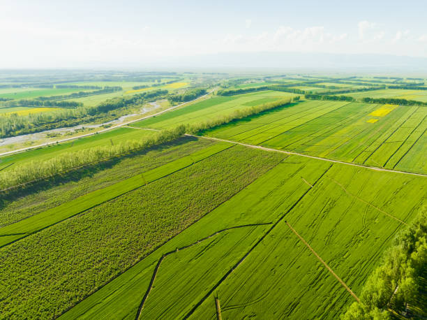 istock Ecological agriculture,Fields,Farmland,Ili,Xinjiang,China,Asia. 2178334749