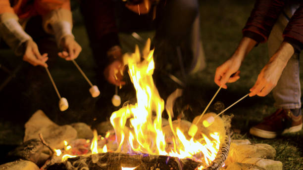 istock Close up of friends roasting marshmallows on camp fire 2178335292