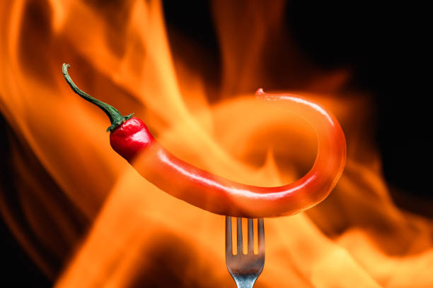 red chili pepper, pricked on a fork, on a background of burning fire, hot flames, on a black background