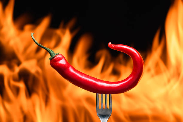 istock red chili pepper, pricked on a fork, on a background of burning fire, hot flames, on a black background 2178337304