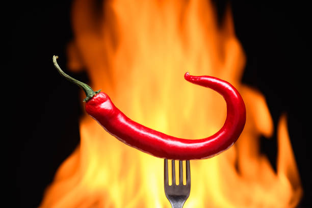 istock red chili pepper, pricked on a fork, on a background of burning fire, hot flames, on a black background 2178337480