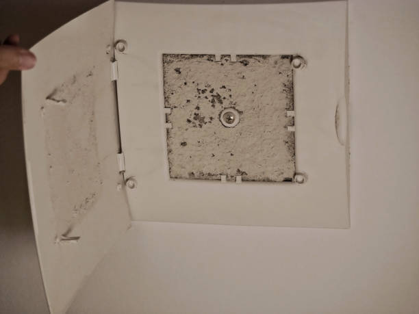 istock Dirty and dusty air ventilation system filter in the bathroom 2178337778