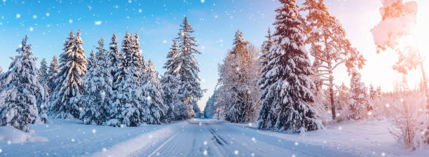 istock Beautiful snowy road in natural park in snowfall. 2178338378