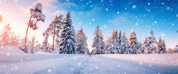 istock Beautiful snowy road in natural park in snowfall. 2178338408