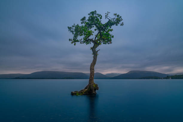 istock Evening View over Loch Lomond, Glencoe National Park, Sccotland 2178338757