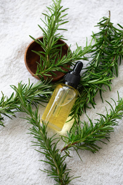 istock Rosemary Essential Oi for Hair Growth 2178344861