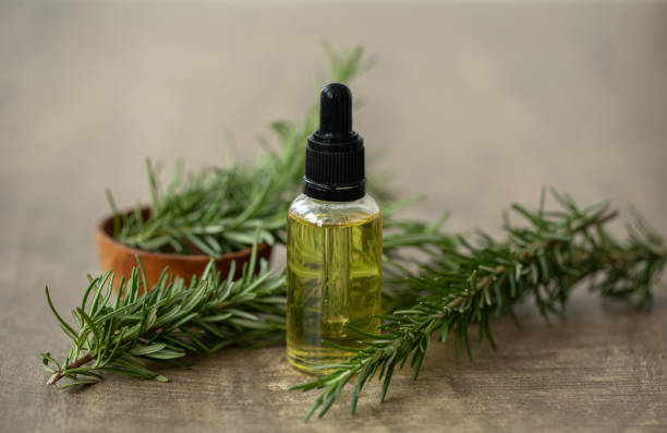 Rosemary Essential Oi for Hair Growth
