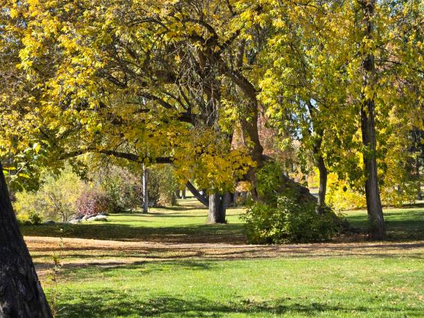 istock Woodland park Kalispell Montana 2178347517