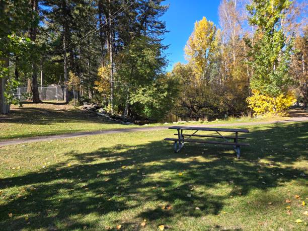istock Woodland park Kalispell Montana 2178348217