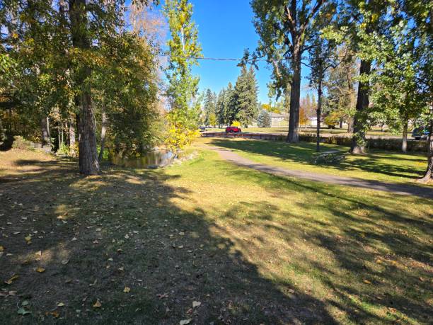 istock Woodland park Kalispell Montana 2178348224