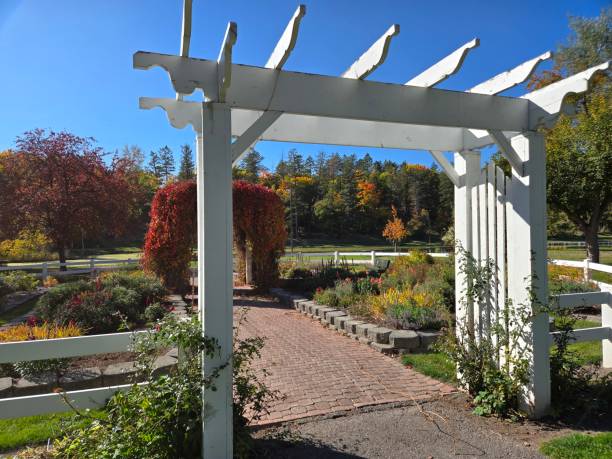 istock Woodland park Kalispell Montana 2178348308