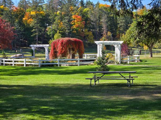 istock Woodland park Kalispell Montana 2178348324