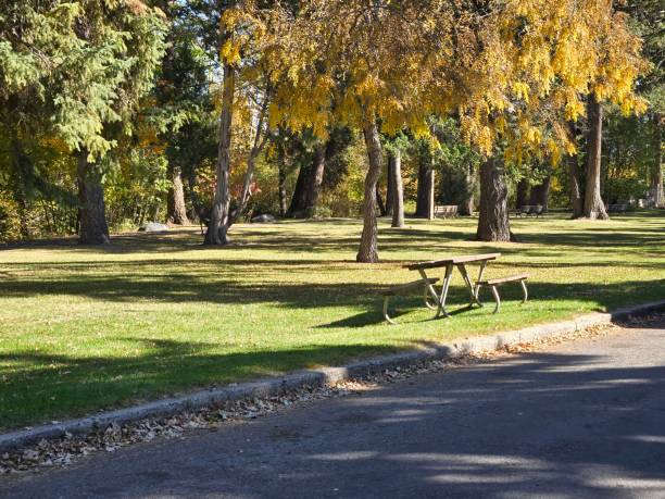 istock Woodland park Kalispell Montana 2178348396