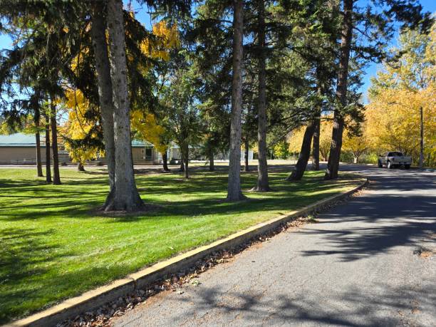 istock Woodland park Kalispell Montana 2178348414