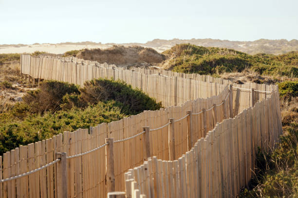 A peaceful coastal pathway bordered by rustic wooden fencing, winding through sandy dunes under a warm, sunny sky, offering a tranquil and scenic outdoor experience.