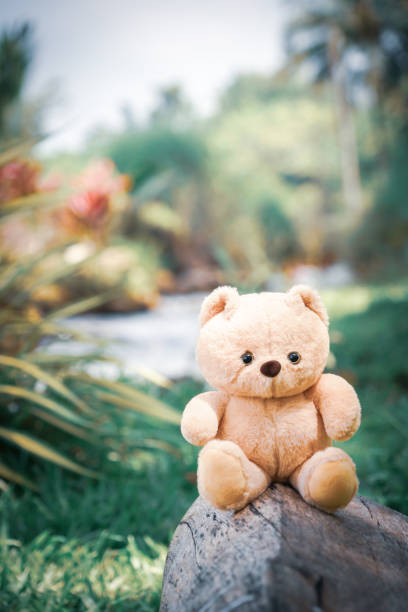A teddy bear sitting in the forest between March beaker flowers
