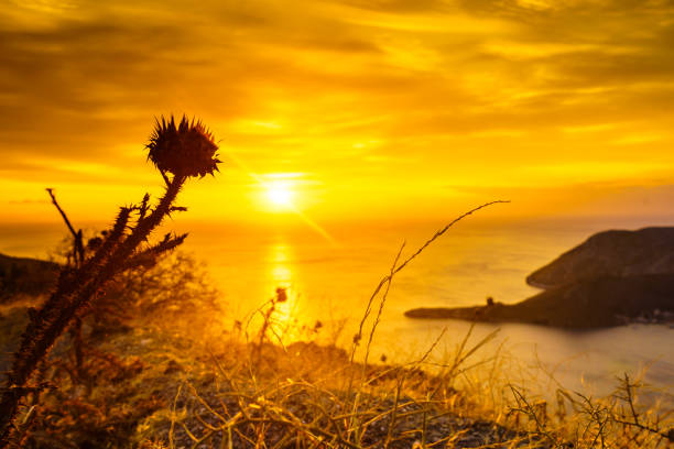 Greek coastline at early morning sun rising, Greece Peloponnese Mani. Beautiful landscape natural scenery.