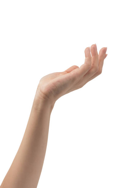 istock Woman hands with nude manicure isolated on a white background. 2178353696