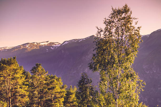 Norway hiking area, scenic mountains landscape in summer.