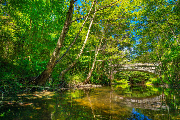 istock Orbieu River in France 2178353906