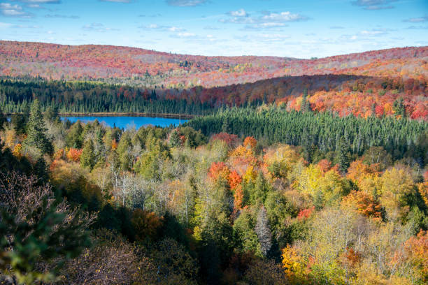 istock Autumn Colors, Oberg Lake, Oberg Mountain Loop, October in Minnesota 2178355462