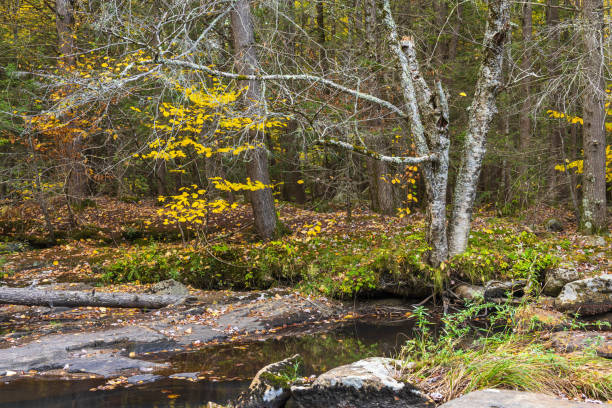 istock Autumn landscape in Middlefield, Massachusetts 2178357037
