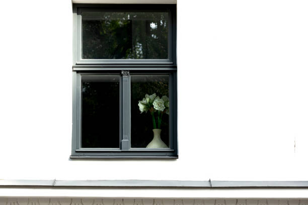 istock vase with white roses trapped in the window 2178361255