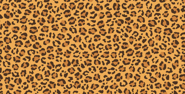 Leopard background. Seamless spots and patterns of leopard background. safari stock illustrations