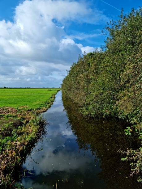 View of meadow in the Groene Hart in the Benschopper Molenvliet, Staatsbosbeheer.