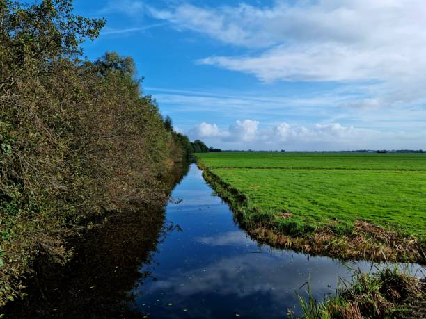 istock Dutch nature Reserve in Groene Hart in automne 2178373809
