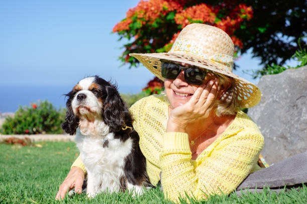 Smiling senior woman wearing hat and sunglasses lying outdoors in park with her cavalier king charles spaniel dog. Senior woman and her best friend enjoying relaxing moments Smiling senior woman wearing hat and sunglasses lying outdoors in park with her cavalier king charles spaniel dog. Senior woman and her best friend enjoying relaxing moments young purebred fluffy cavalier king charles spaniel relaxing in summer stock pictures, royalty-free photos & images