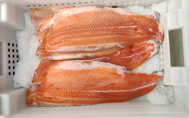 istock Fresh salmon fillet in the freezer 2178375759