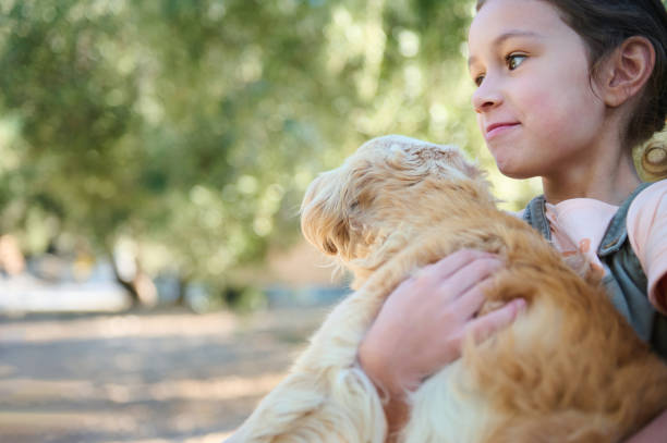 istock A young girl lovingly holding a fluffy dog outdoors on a sunny day, expressing joy and friendship in a serene, natural setting amid soft sunlight filtering through green leafy trees. 2178377776